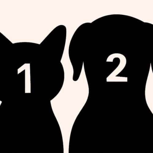 2 Tiere