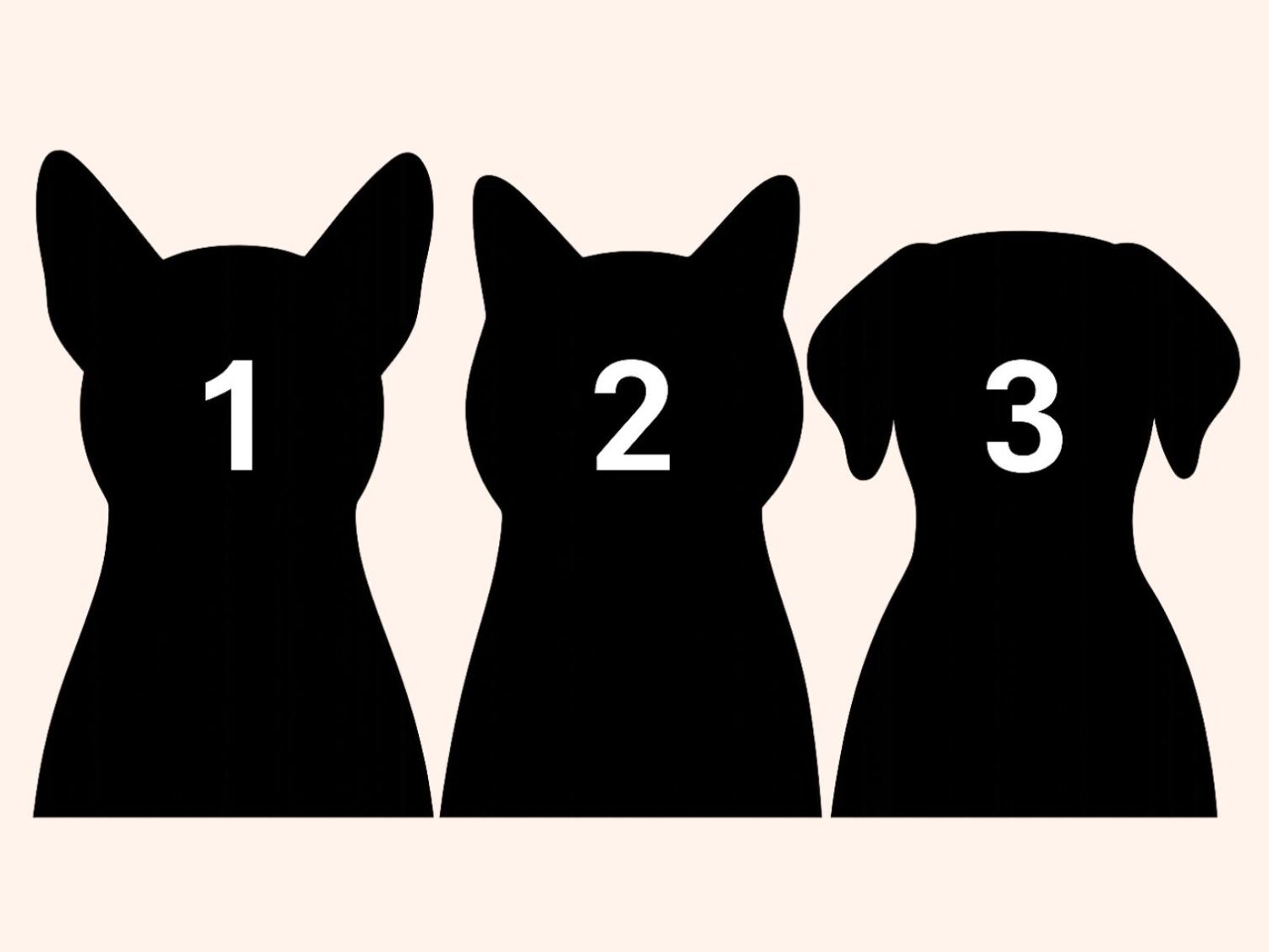 3 animali