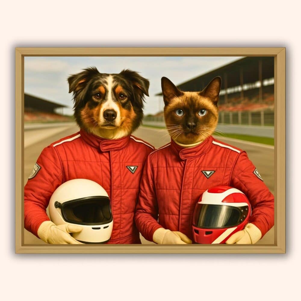 Los coches de carreras