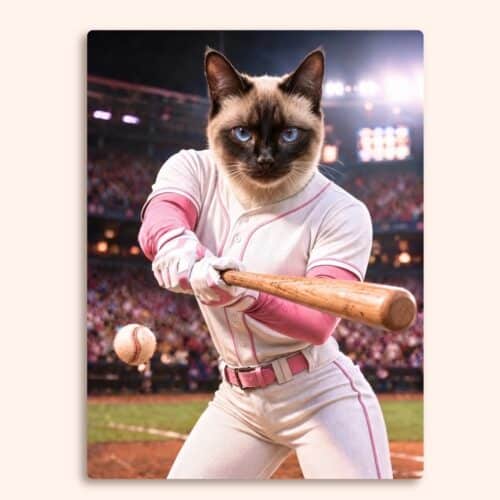 Il tifoso di baseball