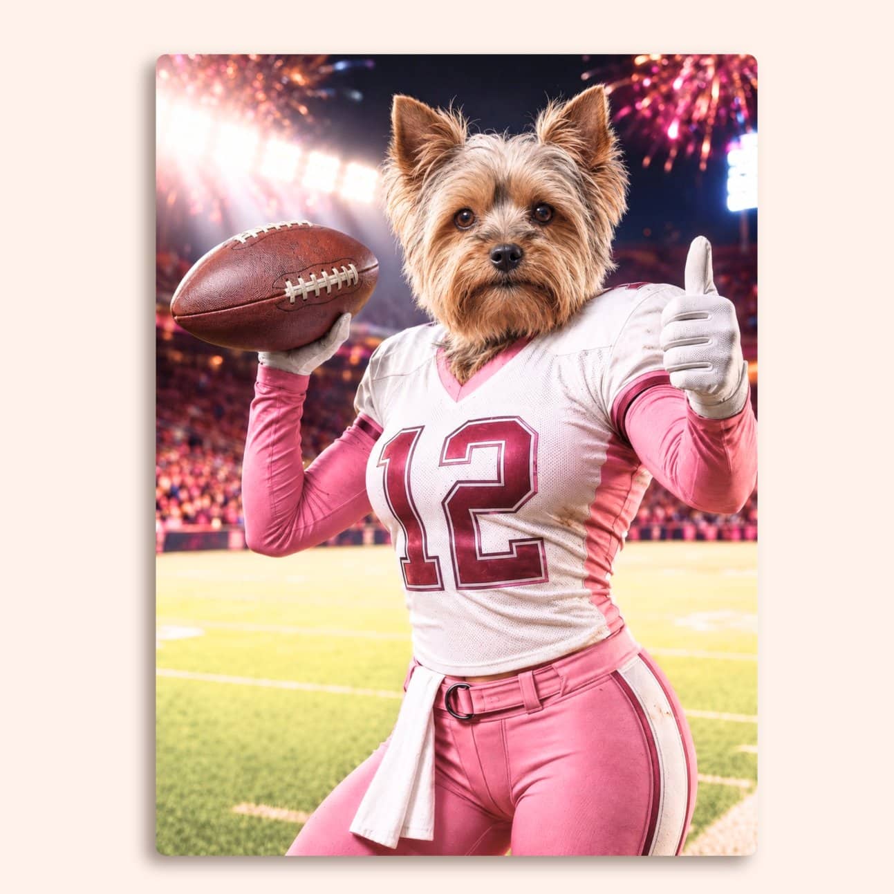 La ragazza del touchdown