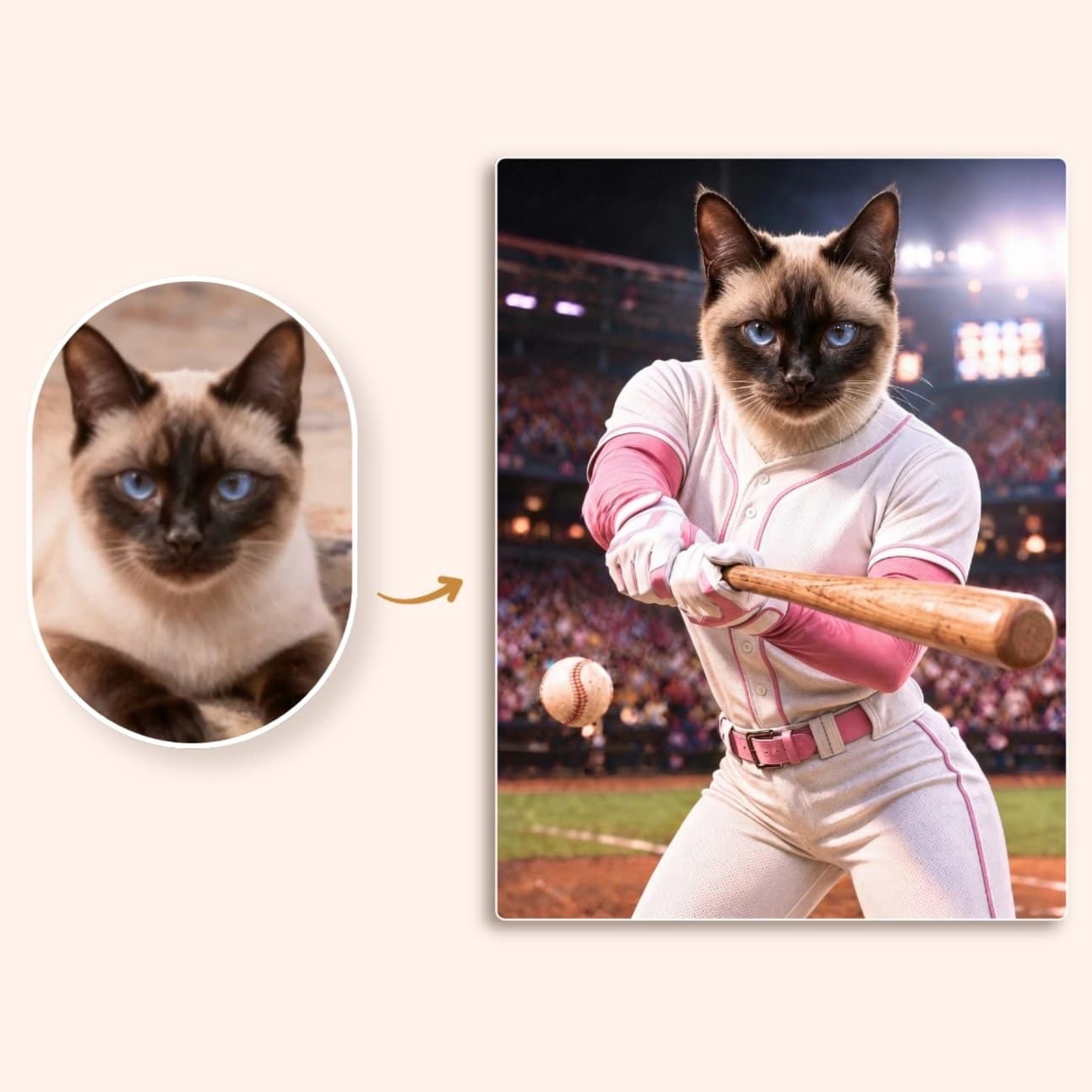 Il tifoso di baseball