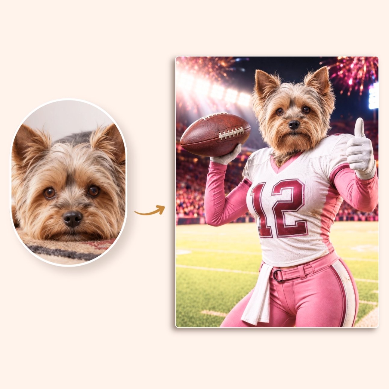 La ragazza del touchdown