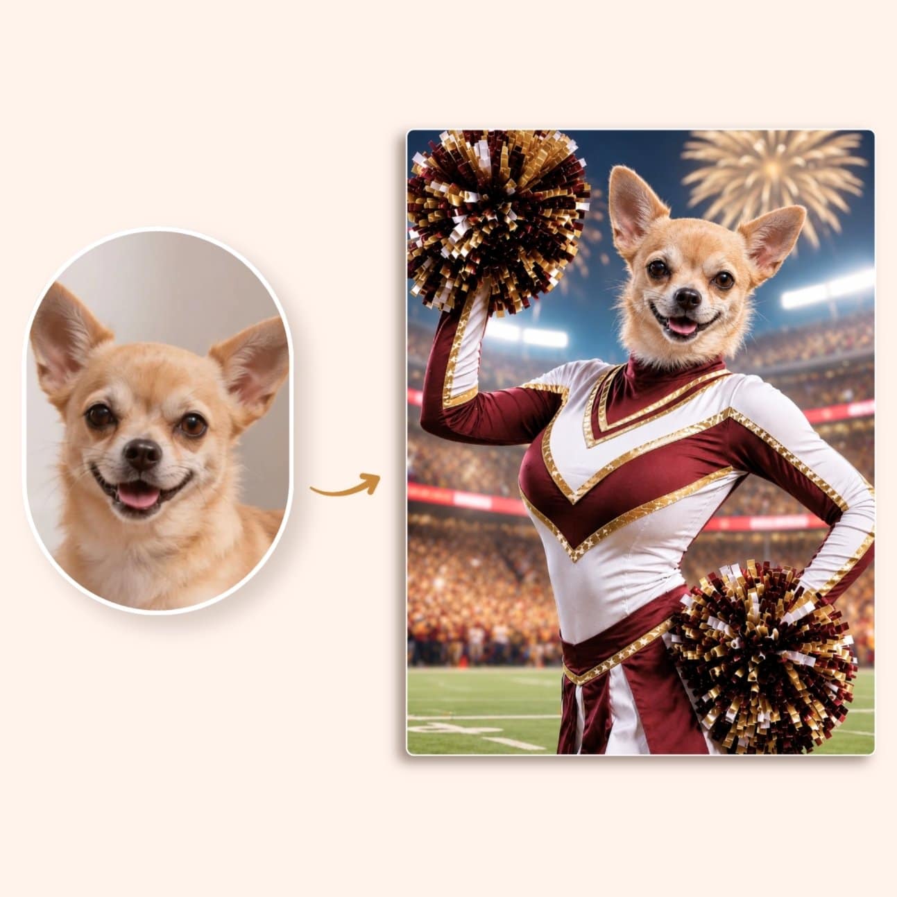 Pom Pom Girl